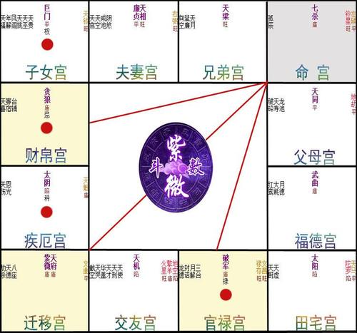 紫微斗数