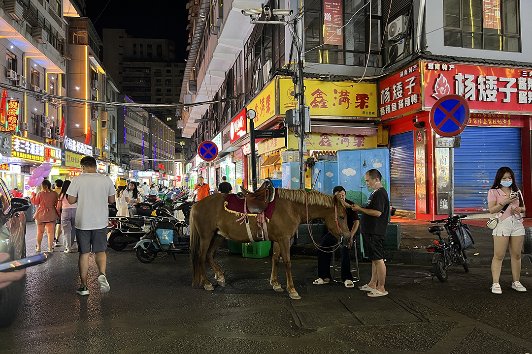 小红书短视频怎么赚钱？（小红书短视频能赚到钱吗？）-钟振森短视频带货创业